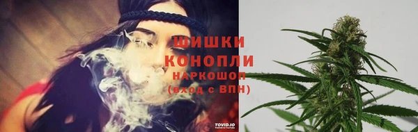 ГАЛЛЮЦИНОГЕННЫЕ ГРИБЫ Кущёвская