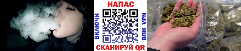 Купить  Нягань  Каннабис ГИДРОПОН 
